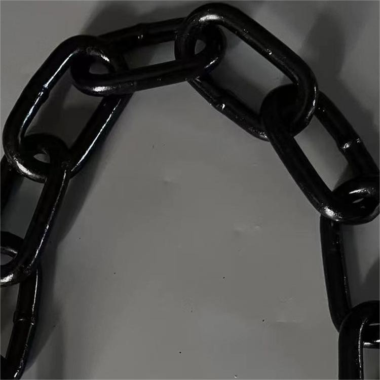 Monorail Cable Chain